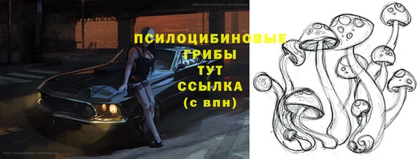 спиды Нефтекумск