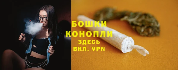 спиды Нефтекумск