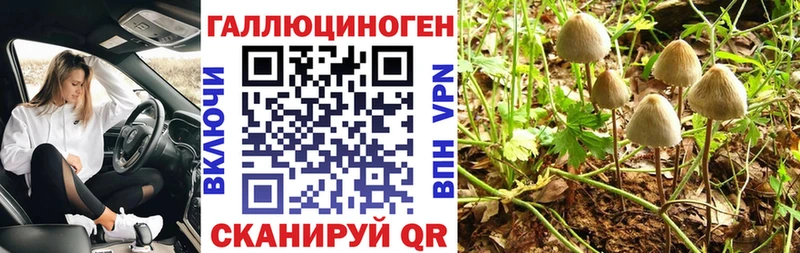 Галлюциногенные грибы Cubensis  Кировград 